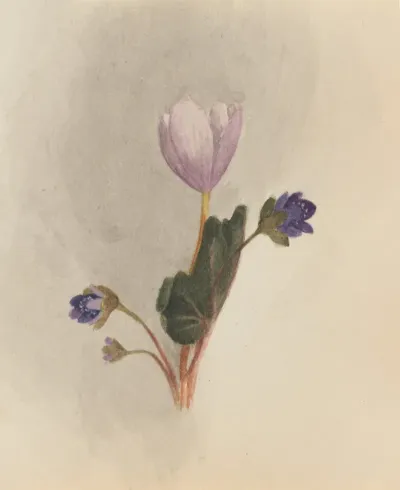 Flower Study 19