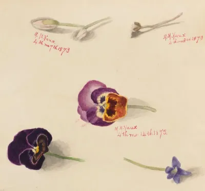 Flower Study 27