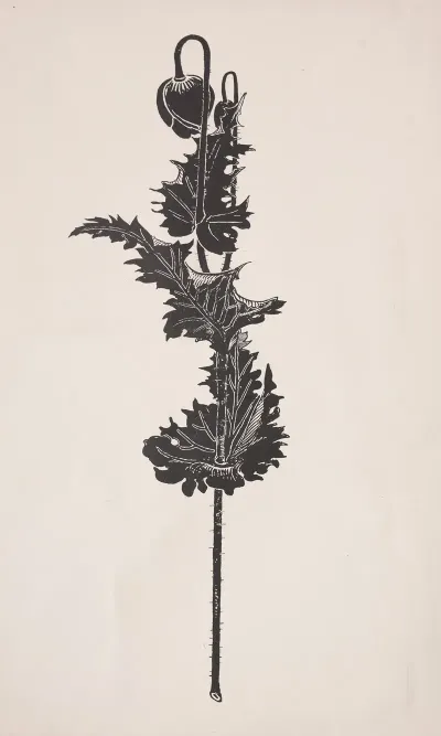 Flower Study 42