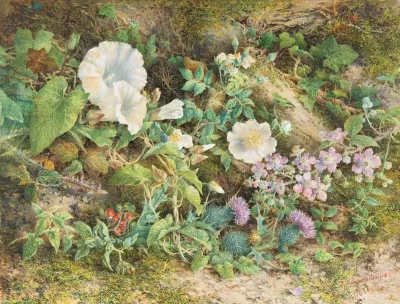 Flower Study