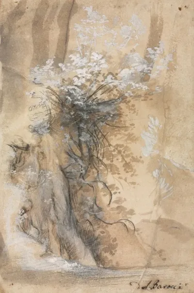 Flowering Bush Above An Eroded Bank