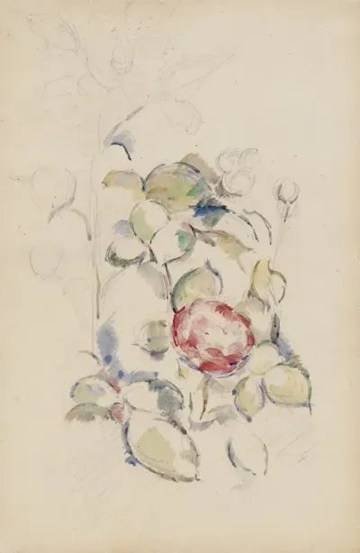 Flowers 13