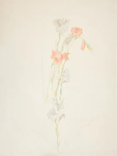 Flowers 28