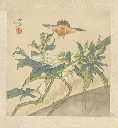Flowers And Birds Pl 6
