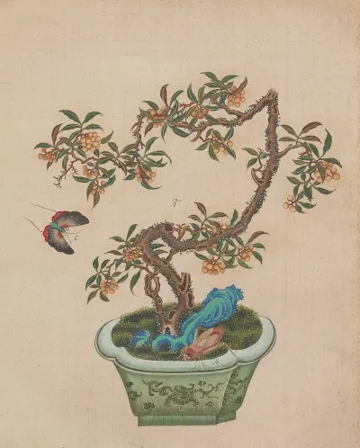 Flowers Birds And Insects Pl 04