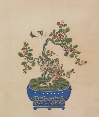 Flowers Birds And Insects Pl 10