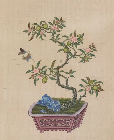 Flowers Birds And Insects Pl 11
