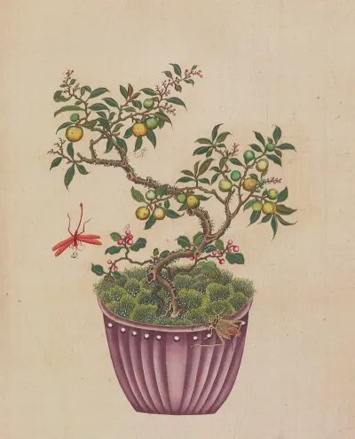 Flowers Birds And Insects Pl 15