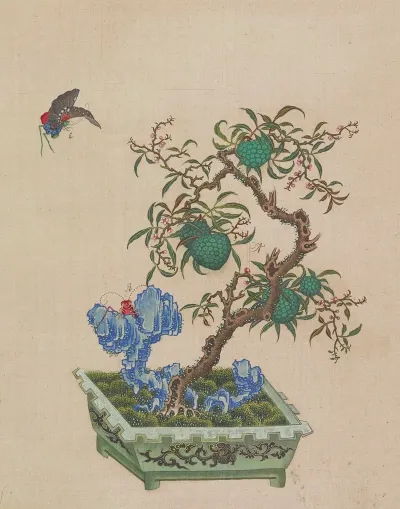 Flowers Birds And Insects Pl 16