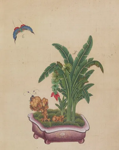 Flowers Birds And Insects Pl 19