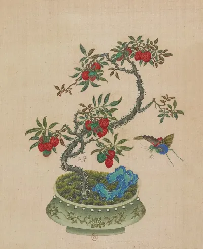 Flowers Birds And Insects Pl 20