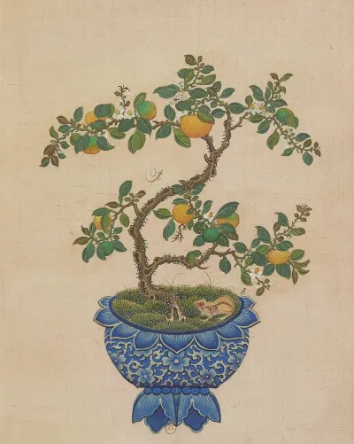 Flowers Birds And Insects Pl 21