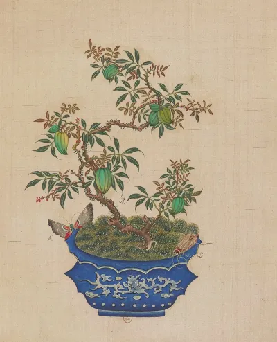 Flowers Birds And Insects Pl 23