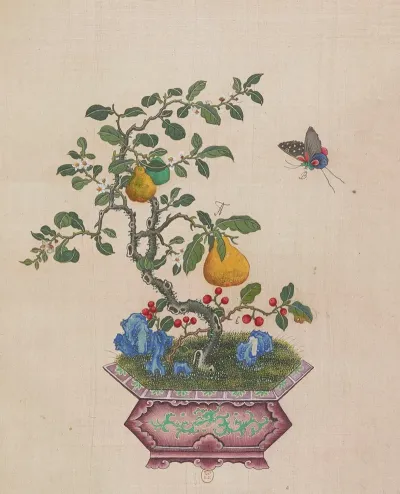Flowers Birds And Insects Pl 24