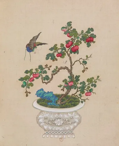 Flowers Birds And Insects Pl 25