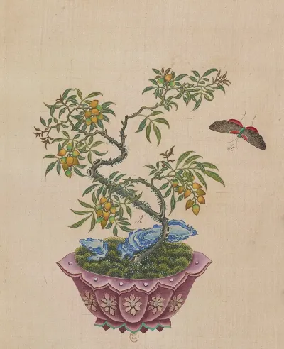 Flowers Birds And Insects Pl 26