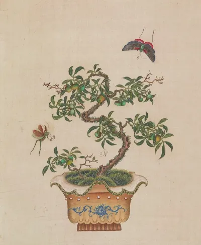 Flowers Birds And Insects Pl 30