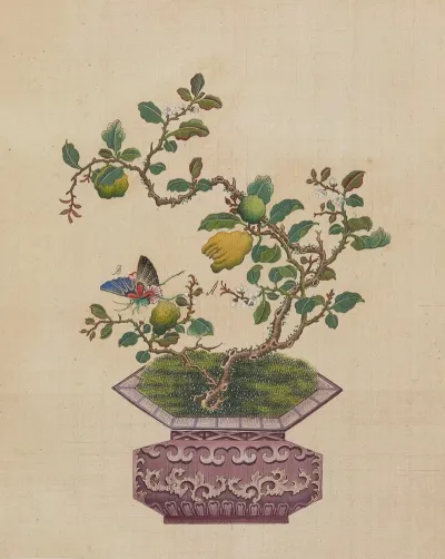 Flowers Birds And Insects Pl 31