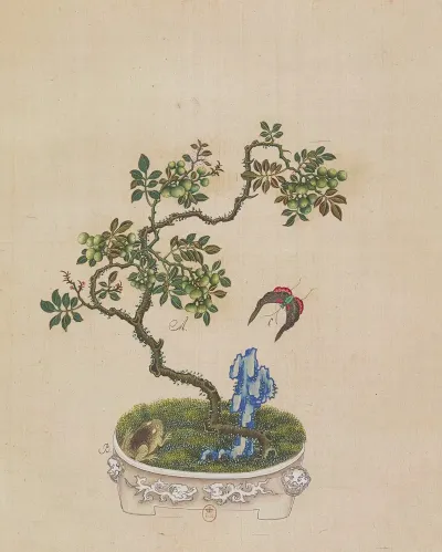 Flowers Birds And Insects Pl 32