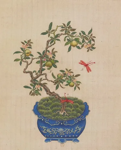 Flowers Birds And Insects Pl 33
