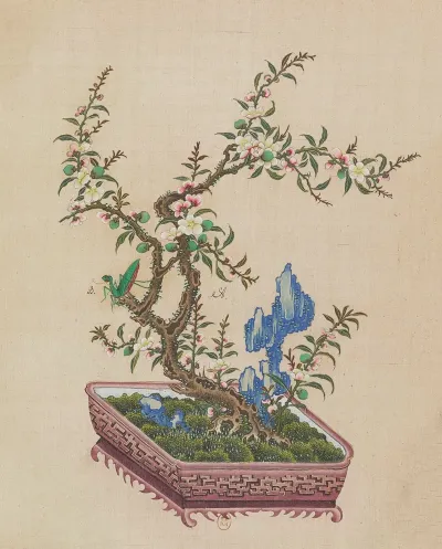 Flowers Birds And Insects Pl 34