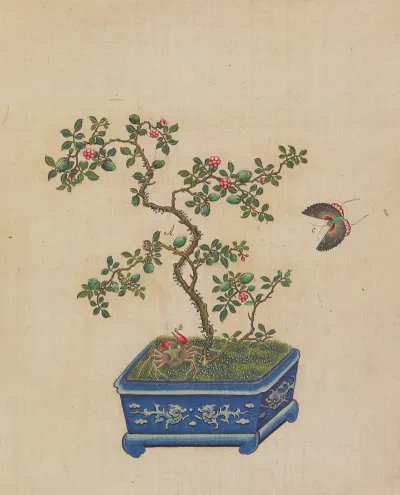 Flowers Birds And Insects Pl 35