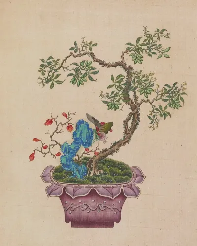 Flowers Birds And Insects Pl 37