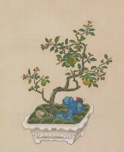 Flowers Birds And Insects Pl 38