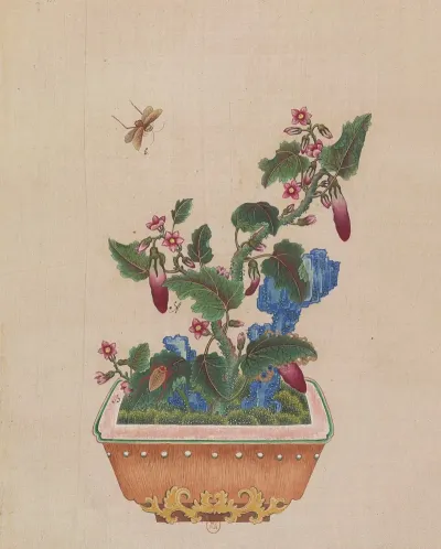 Flowers Birds And Insects Pl 40