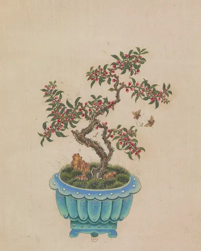 Flowers Birds And Insects Pl 41