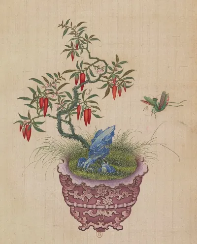 Flowers Birds And Insects Pl 44