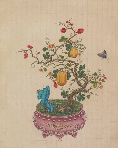 Flowers Birds And Insects Pl 49