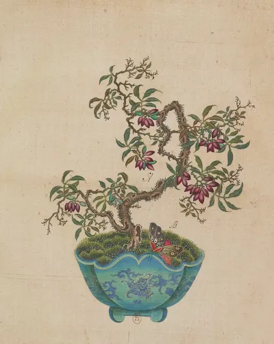 Flowers Birds And Insects Pl 50