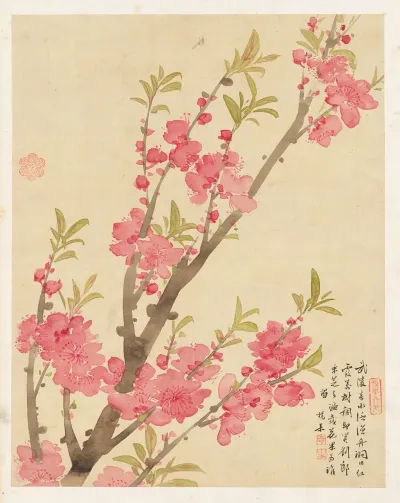 Flowers Pl 01