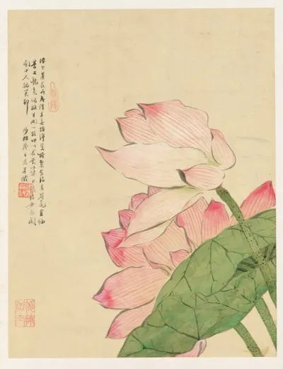 Flowers Pl 04