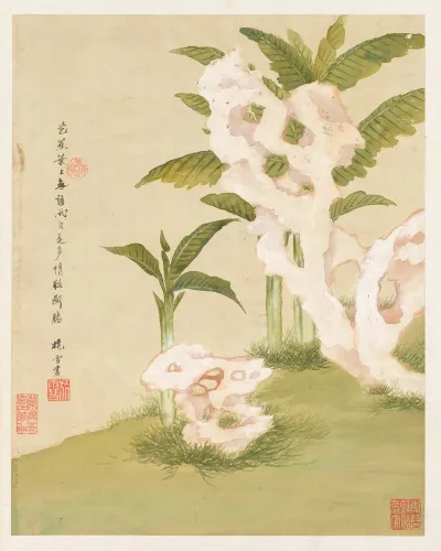 Flowers Pl 06
