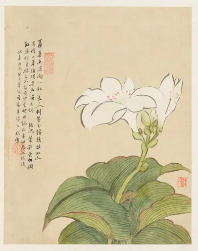 Flowers Pl 07