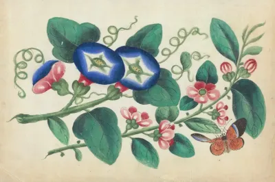 Flowers With Butterfly