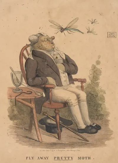 Fly Away Pretty Moth