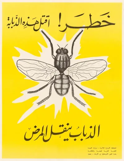 Fly Control