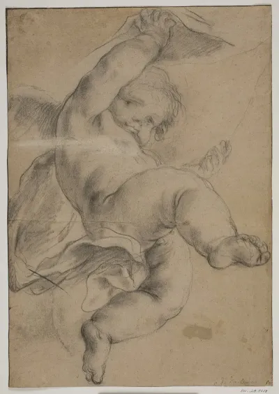Flyvende Putto Lofter Et Forhaeng