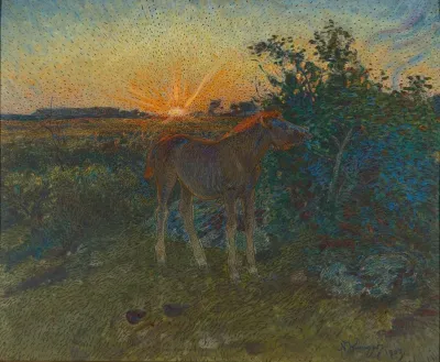 Foal