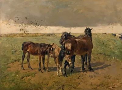 Foals In The Paddock