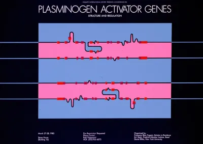 Fogarty International Center Presents A Conference On Plasminogen Activator Genes