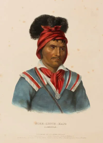 Foke Luste Hajo A Seminole