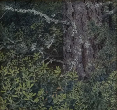 Foliage 2