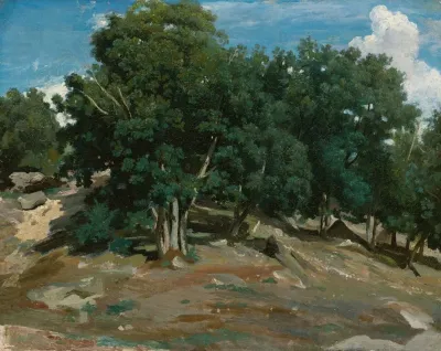 Fontainebleau Oak Trees At Bas Breau