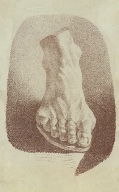 Foot Of Laocoon