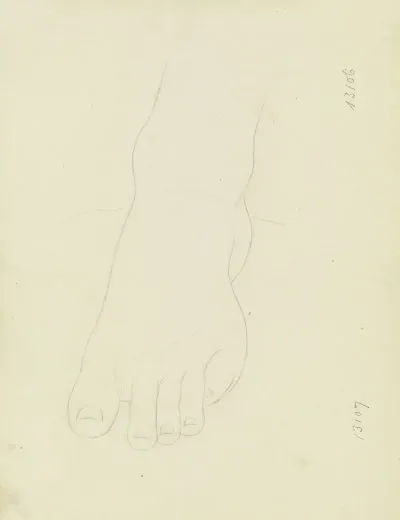 Foot