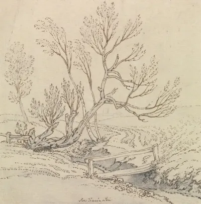 Footbridge Over A Stream Near A Willow Tree